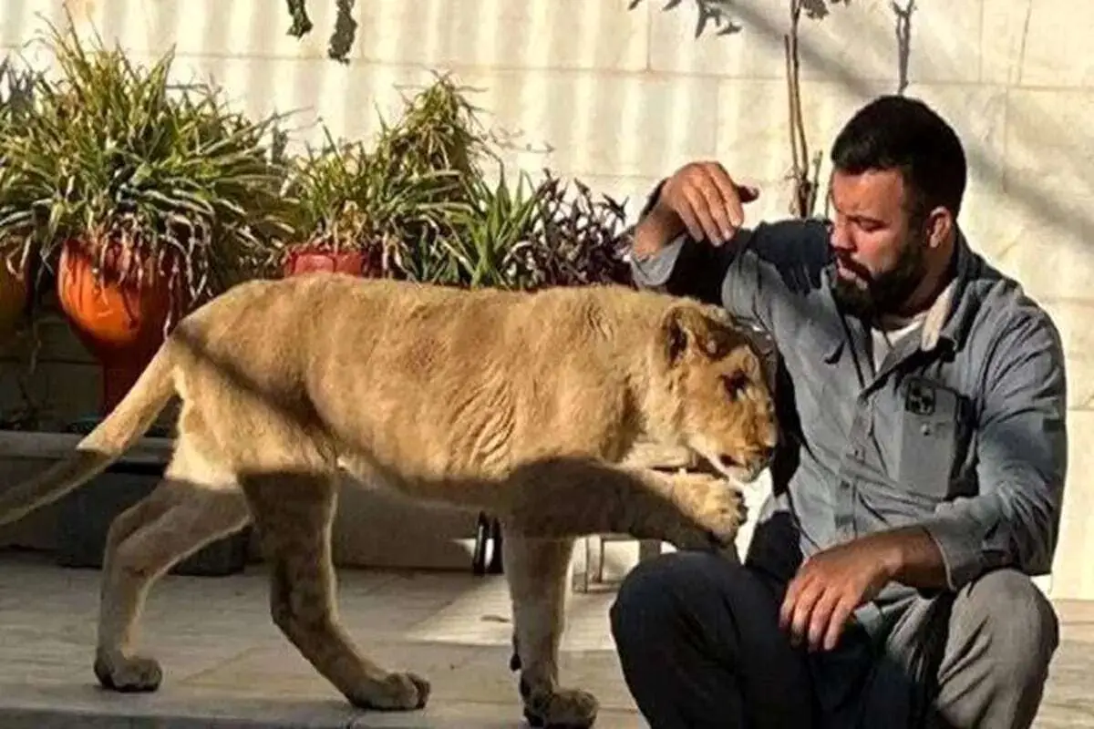 مرگ مشکوک شیر علی اکبری