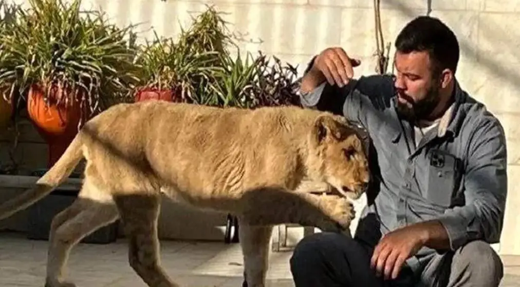 مرگ مشکوک شیر علی اکبری