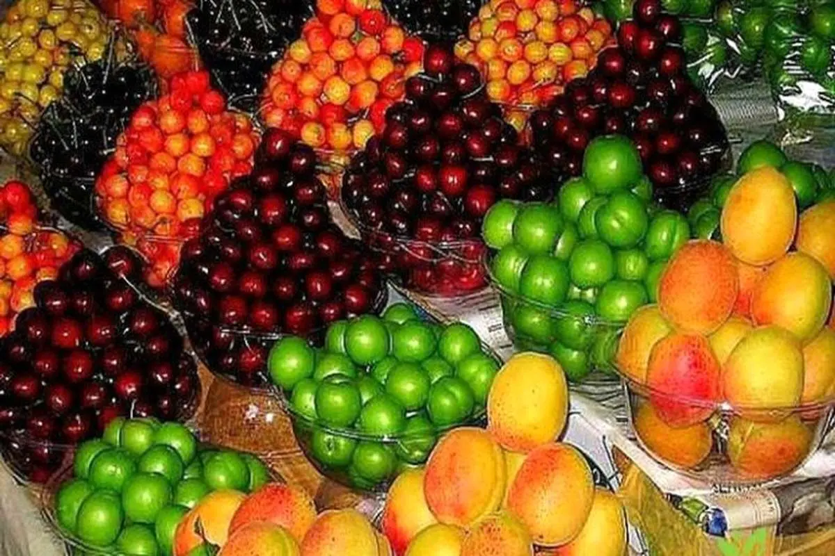 قیمت انواع میوه در تهران اعلام شد