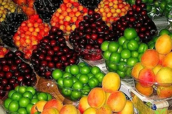 قیمت انواع میوه در تهران اعلام شد