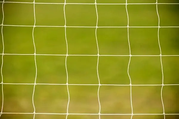 دروازه‌بان سابق تیم ملی دستگیر نشده