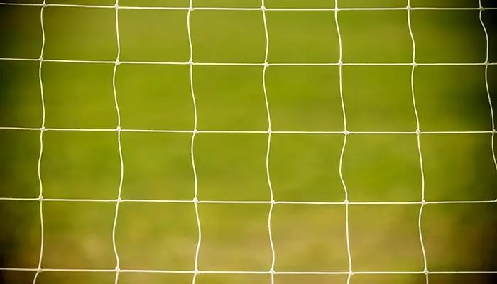 دروازه‌بان سابق تیم ملی دستگیر نشده