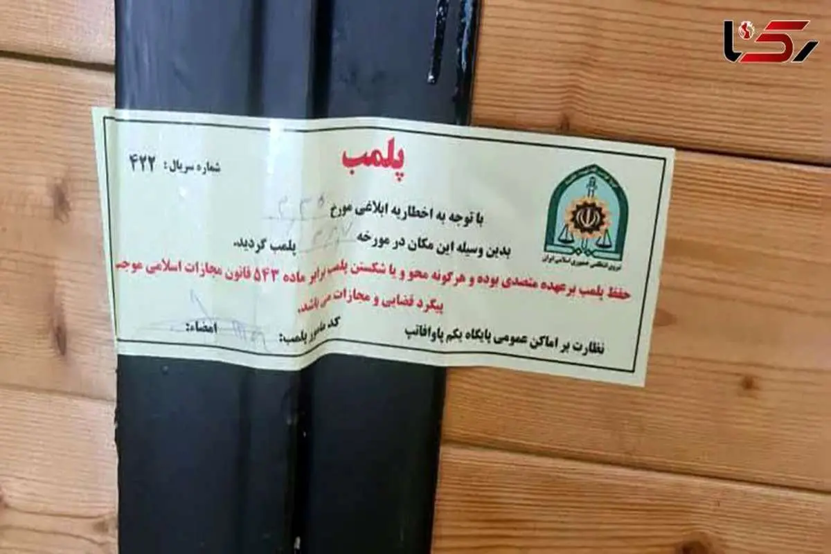 فیلمی که باعث پلمب شدن «کافه سگها» در شمال تهران شد +ویدیو