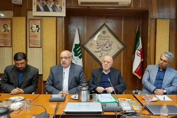 تهرانی: وزارت ورزش دست واسطه ها و دلال ها را  کوتاه کند