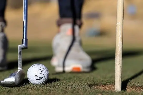 موفق ترین رشته المپیک نصف گلف بودجه می گیرد!!!