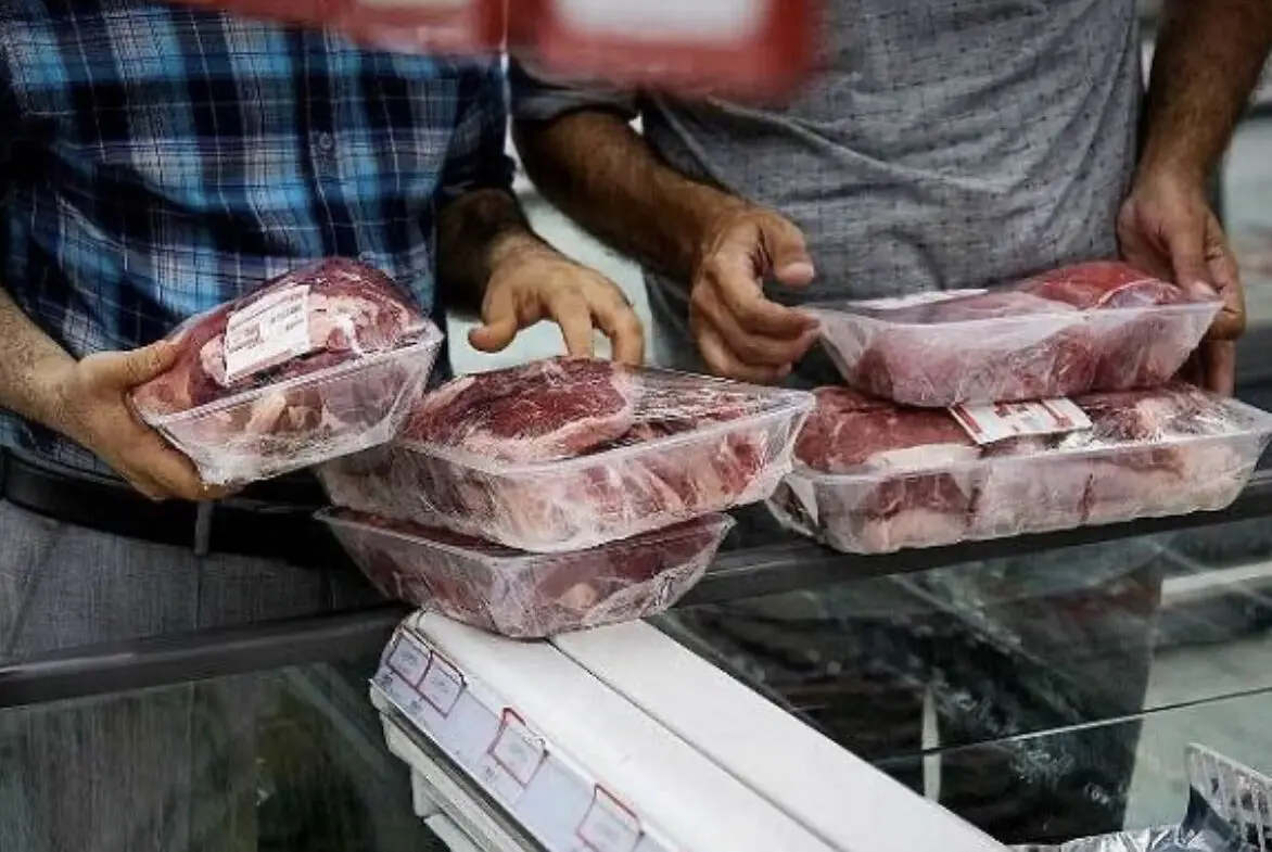 آغاز توزیع گوشت ارزان باکیفیت در تره‌بارها