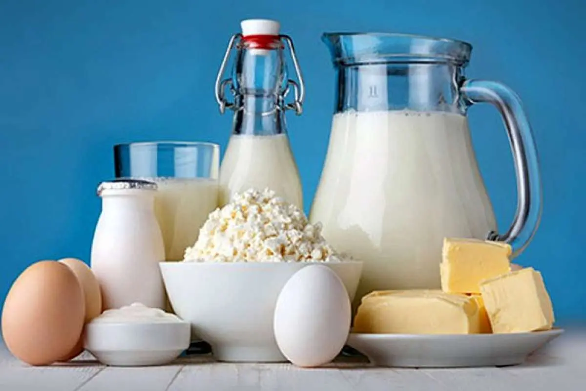 لبنیات گران میشود؛ نگران نان و تخم مرغ باشیم؟
