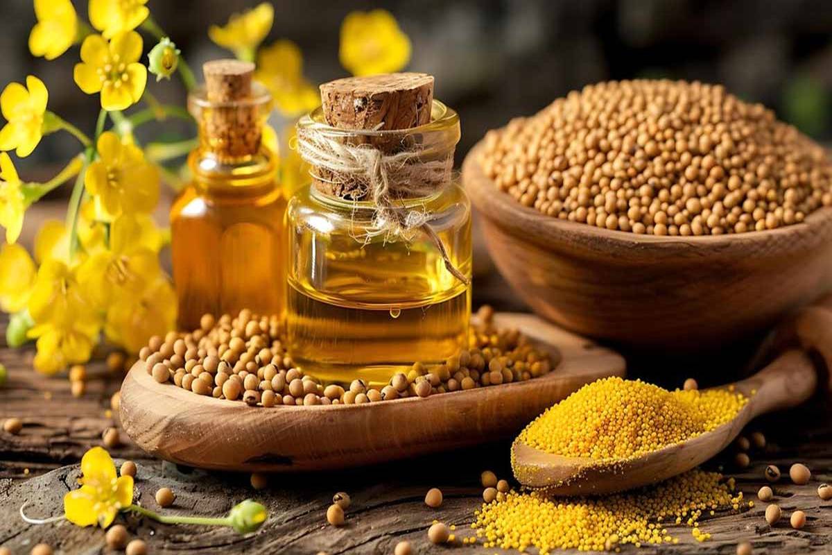 دانه‌های خردل؛ راز داشتن پوستی جوان‌تر + روش‌های استفاده