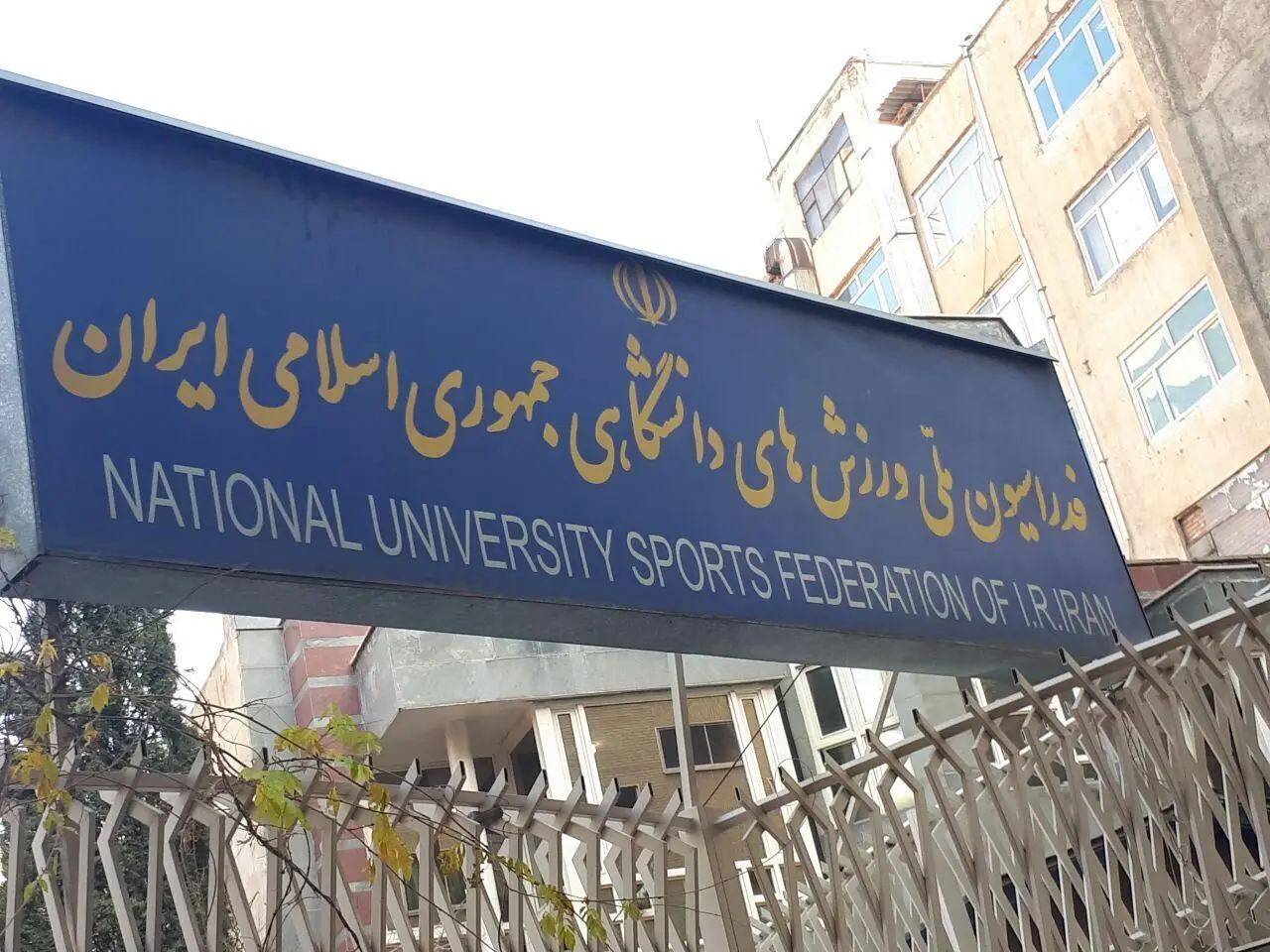 اگر قرار است حبیبا تصمیم بگیرد، مجمع فدراسیون را هم منحل کنید!