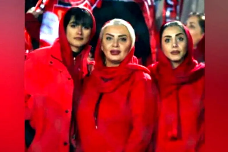 هوادار