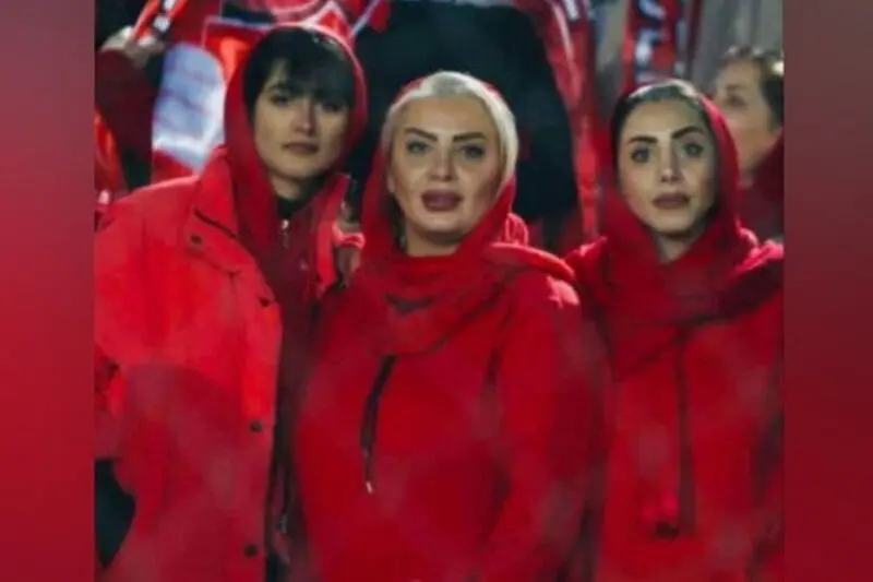 هوادار