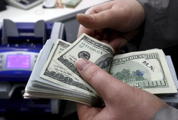 دلار دوباره افسار پاره کرد